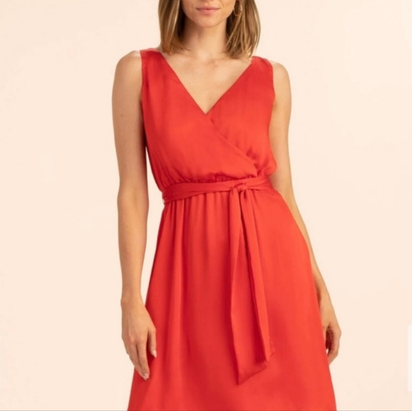 Trina Turk Planetary Dress - Picture 4 of 6